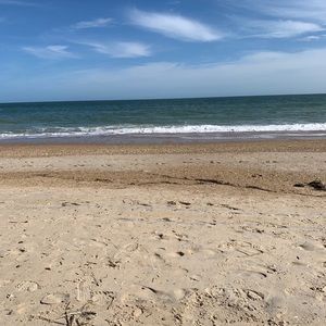 Meet your Posher, Franny